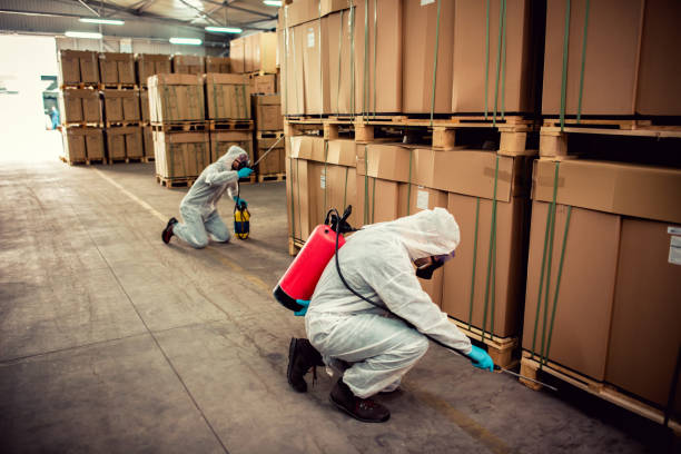 Best Cockroach Control Services  in Broomall, PA