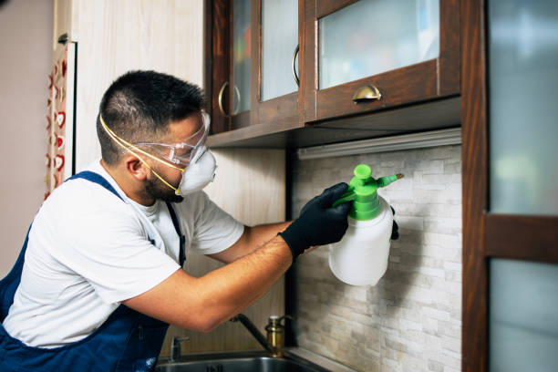 Best Cockroach Control Services  in Broomall, PA