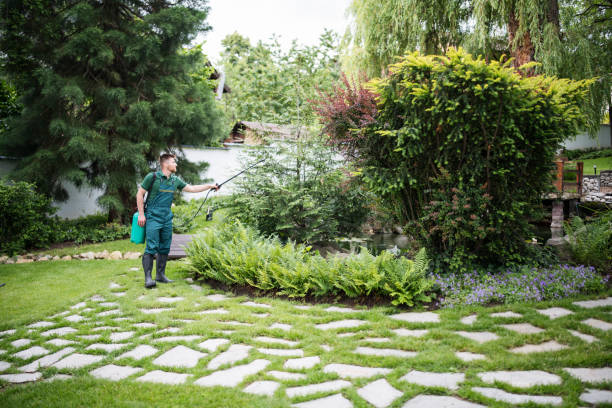Best Affordable Pest Control Services  in Broomall, PA