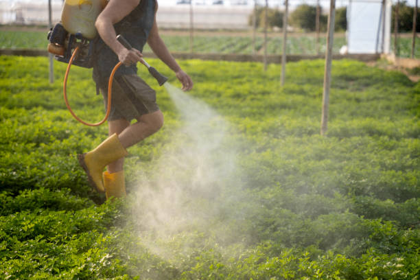 Best Ant Control Services  in Broomall, PA