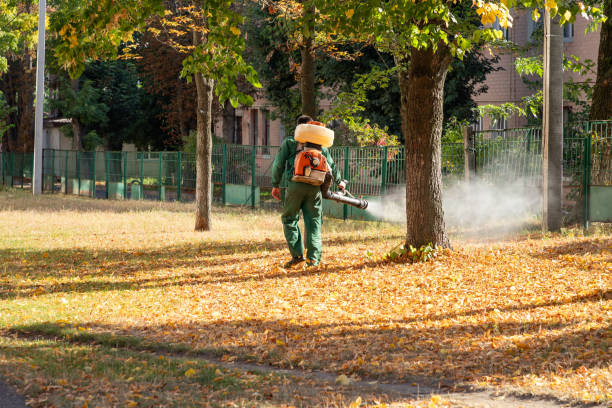 Pest Prevention Services in Broomall, PA
