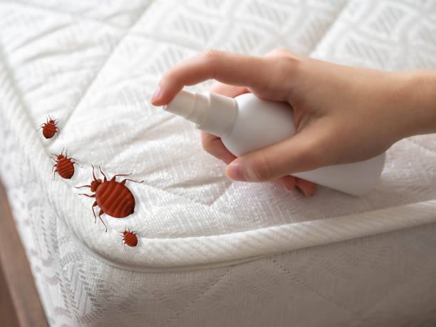 Wildlife Control Services in Broomall, PA