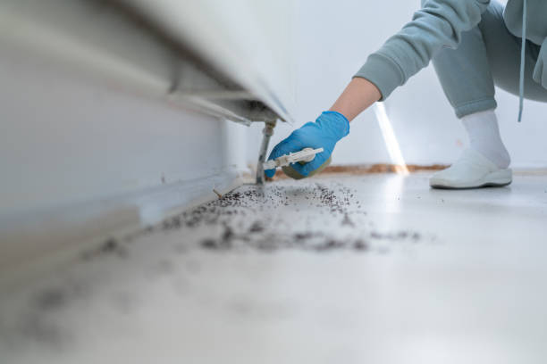 Best Commercial Pest Control Services  in Broomall, PA