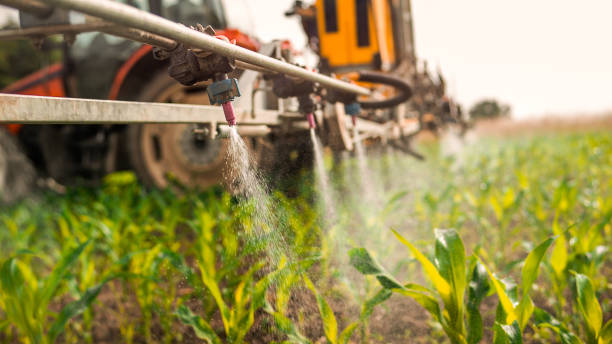 Best Commercial Pest Control Services  in Broomall, PA